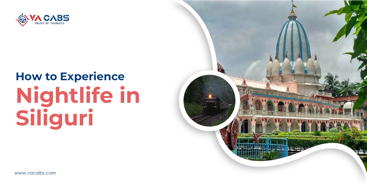 How to Experience Nightlife in Siliguri?
