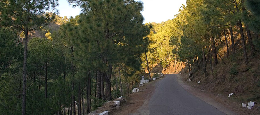 Kasauli